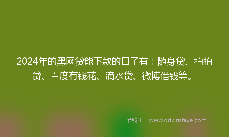 2024年的黑网贷能下款的口子有：随身贷、拍拍贷、百度有钱花、滴水贷、微博借钱等。