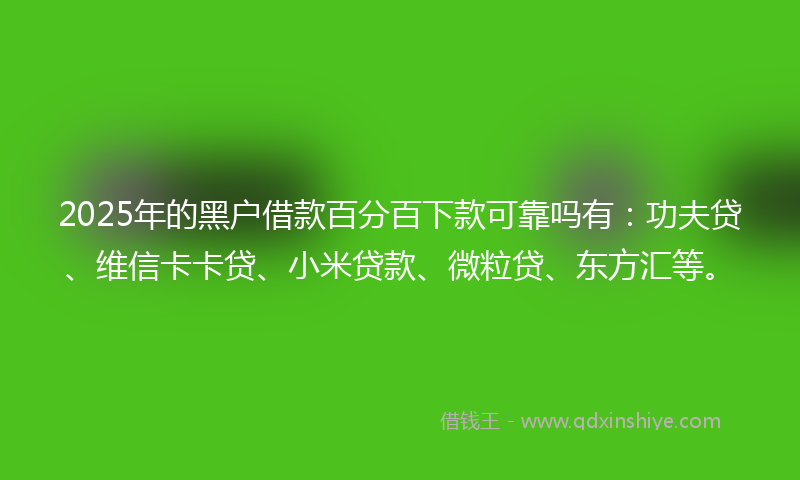 2025年的黑户借款百分百下款可靠吗有：功夫贷、维信卡卡贷、小米贷款、微粒贷、东方汇等。