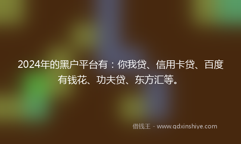 2024年的黑户平台有：你我贷、信用卡贷、百度有钱花、功夫贷、东方汇等。
