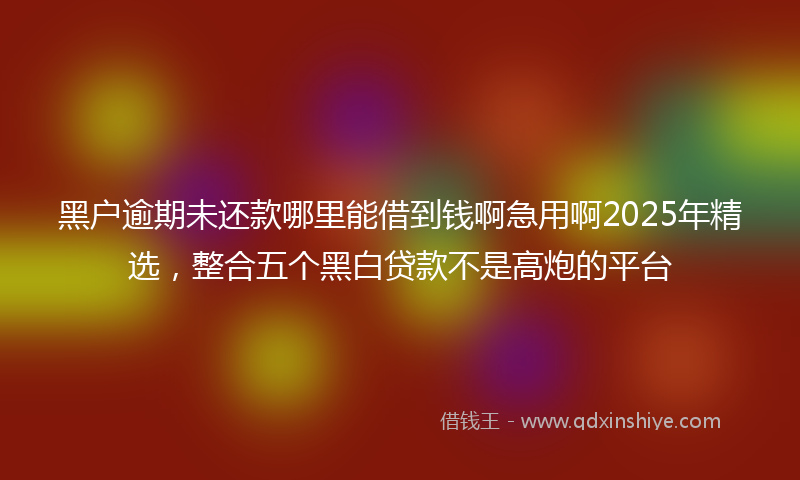黑户逾期未还款哪里能借到钱啊急用啊2025年精选，整合五个黑白贷款不是高炮的平台