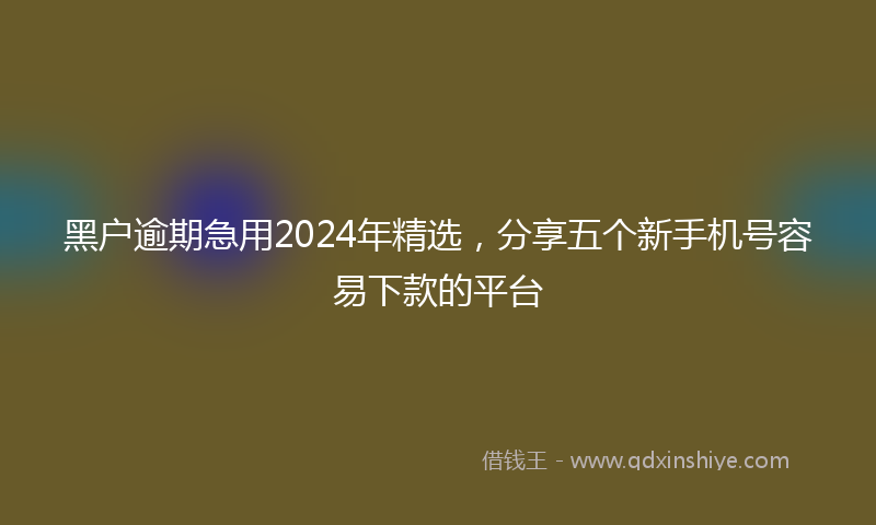 黑户逾期急用2024年精选，分享五个新手机号容易下款的平台