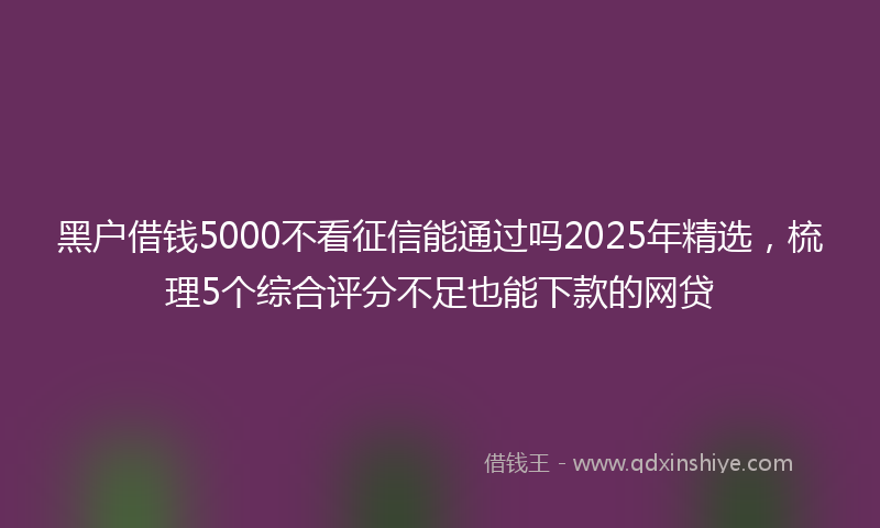 黑户借钱5000不看征信能通过吗2025年精选，梳理5个综合评分不足也能下款的网贷
