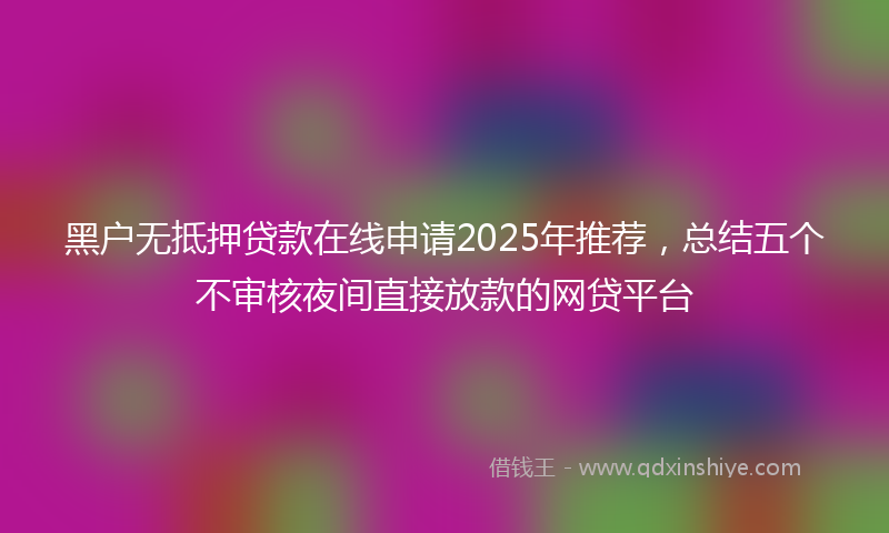 黑户无抵押贷款在线申请2025年推荐，总结五个不审核夜间直接放款的网贷平台