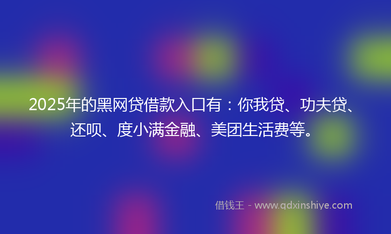 2025年的黑网贷借款入口有：你我贷、功夫贷、还呗、度小满金融、美团生活费等。