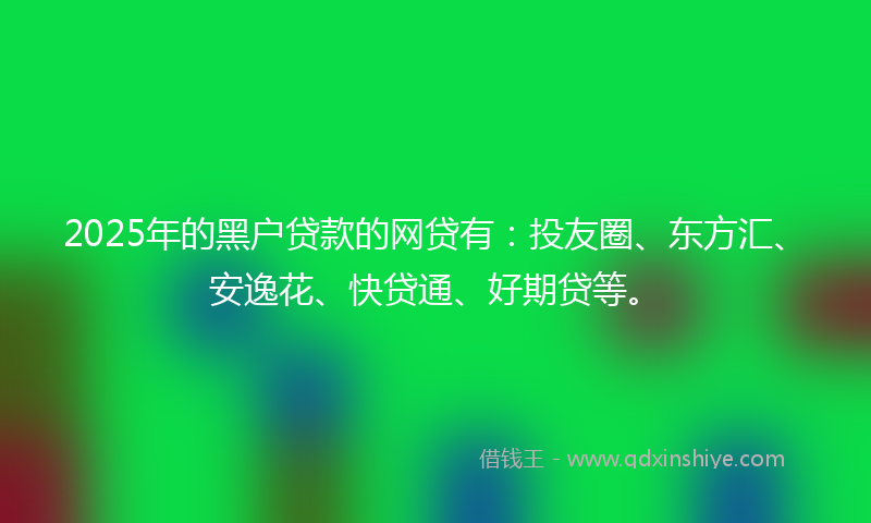 2025年的黑户贷款的网贷有：投友圈、东方汇、安逸花、快贷通、好期贷等。