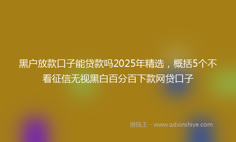 黑户放款口子能贷款吗2025年精选，概括5个不看征信无视黑白百分百下款网贷口子