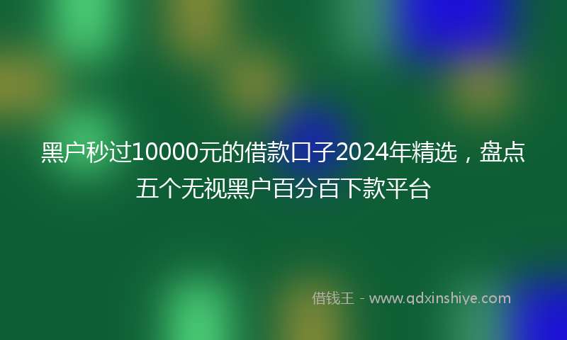 黑户秒过10000元的借款口子2024年精选，盘点五个无视黑户百分百下款平台