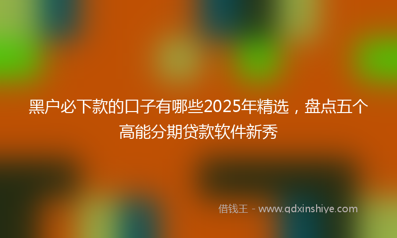 黑户必下款的口子有哪些2025年精选，盘点五个高能分期贷款软件新秀