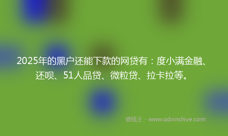 2025年的黑户还能下款的网贷有：度小满金融、还呗、51人品贷、微粒贷、拉卡拉等。