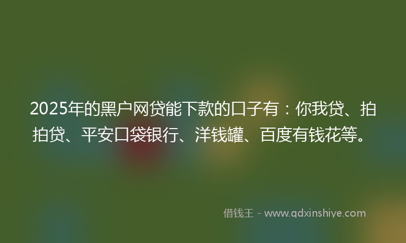 2025年的黑户网贷能下款的口子有：你我贷、拍拍贷、平安口袋银行、洋钱罐、百度有钱花等。