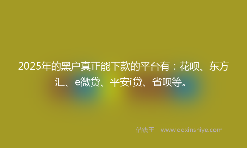 2025年的黑户真正能下款的平台有：花呗、东方汇、e微贷、平安i贷、省呗等。