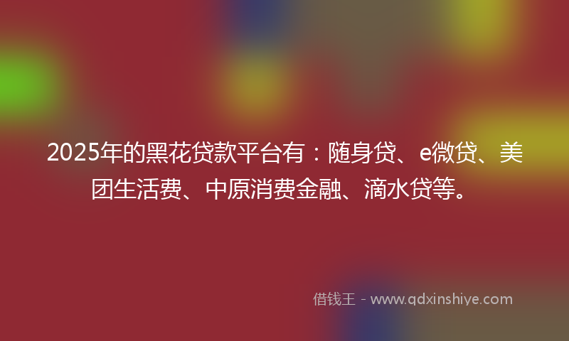 2025年的黑花贷款平台有：随身贷、e微贷、美团生活费、中原消费金融、滴水贷等。