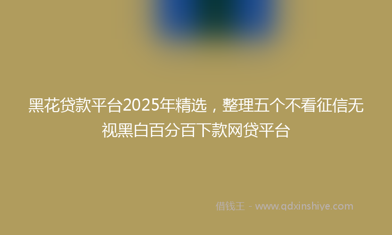 黑花贷款平台2025年精选，整理五个不看征信无视黑白百分百下款网贷平台