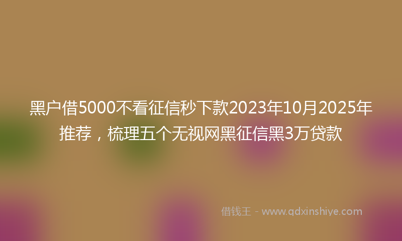 黑户借5000不看征信秒下款2023年10月2025年推荐，梳理五个无视网黑征信黑3万贷款