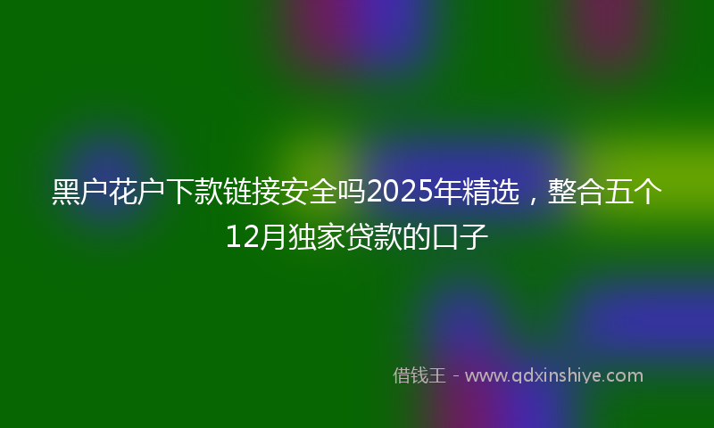黑户花户下款链接安全吗2025年精选，整合五个12月独家贷款的口子