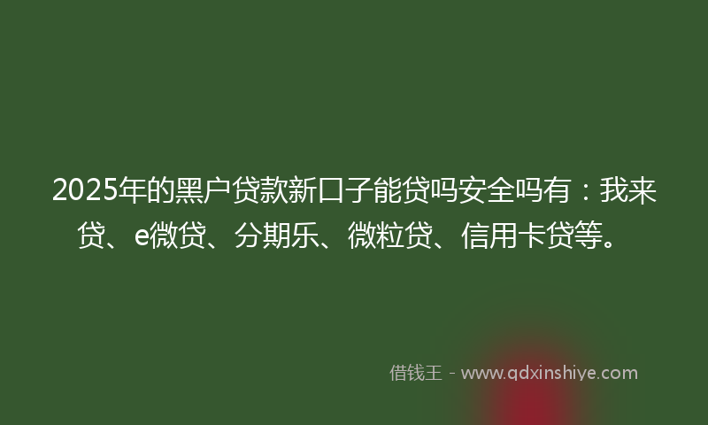 2025年的黑户贷款新口子能贷吗安全吗有：我来贷、e微贷、分期乐、微粒贷、信用卡贷等。