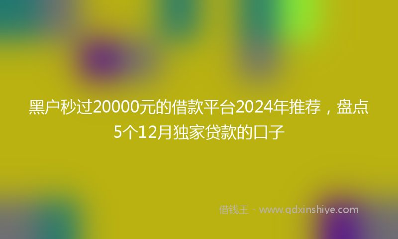 黑户秒过20000元的借款平台2024年推荐，盘点5个12月独家贷款的口子