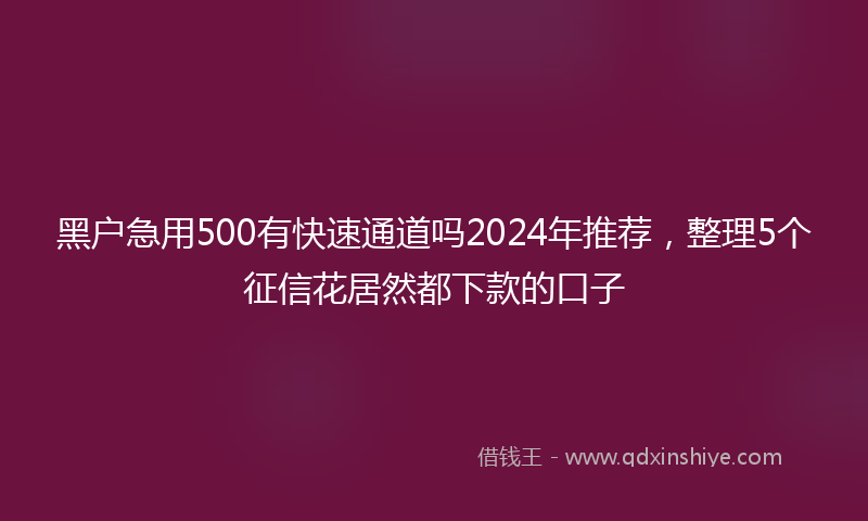 黑户急用500有快速通道吗2024年推荐，整理5个征信花居然都下款的口子