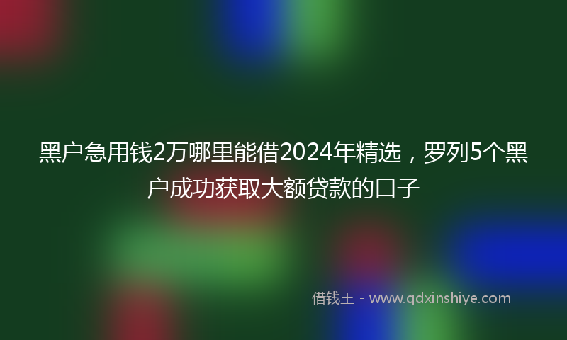 黑户急用钱2万哪里能借2024年精选，罗列5个黑户成功获取大额贷款的口子