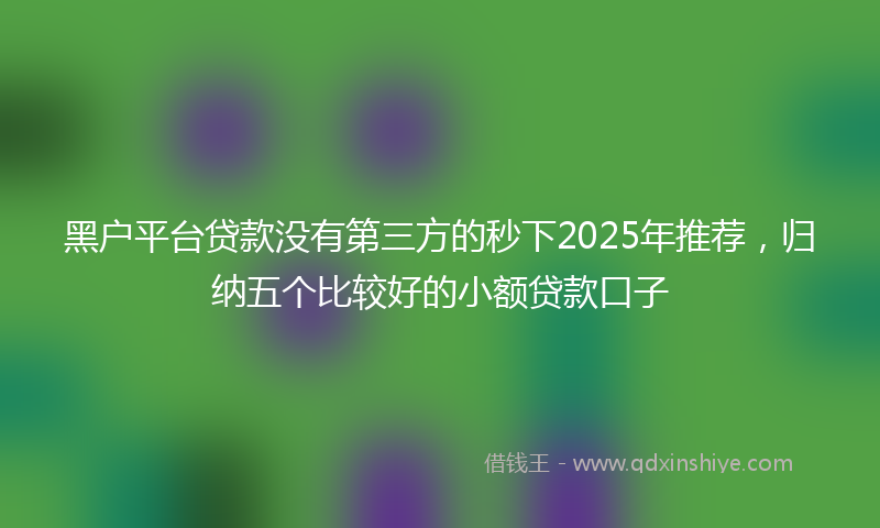 黑户平台贷款没有第三方的秒下2025年推荐，归纳五个比较好的小额贷款口子