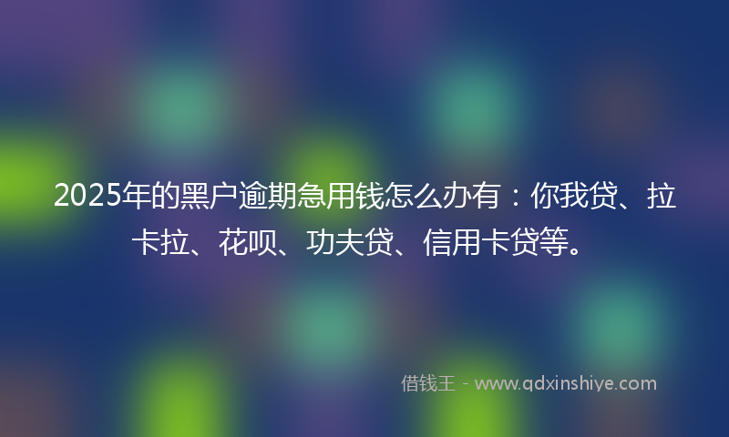 2025年的黑户逾期急用钱怎么办有：你我贷、拉卡拉、花呗、功夫贷、信用卡贷等。