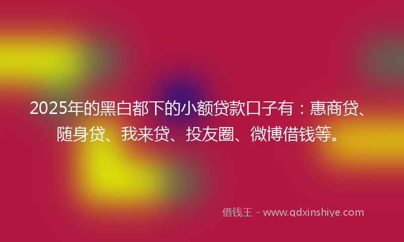 2025年的黑白都下的小额贷款口子有：惠商贷、随身贷、我来贷、投友圈、微博借钱等。