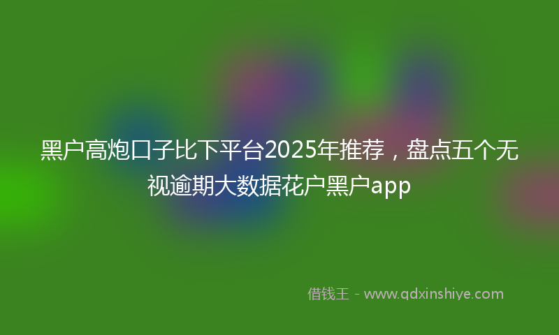 黑户高炮口子比下平台2025年推荐，盘点五个无视逾期大数据花户黑户app