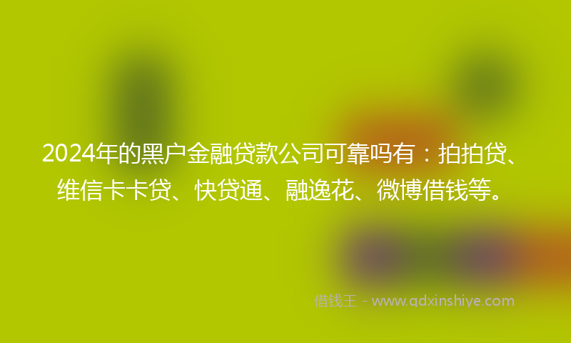 2024年的黑户金融贷款公司可靠吗有：拍拍贷、维信卡卡贷、快贷通、融逸花、微博借钱等。