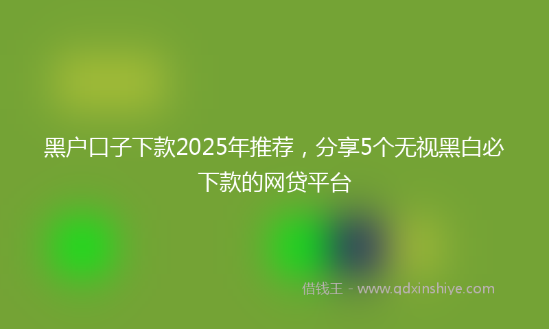 黑户口子下款2025年推荐，分享5个无视黑白必下款的网贷平台