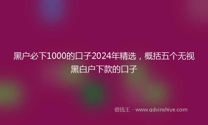 黑户必下1000的口子2024年精选，概括五个无视黑白户下款的口子