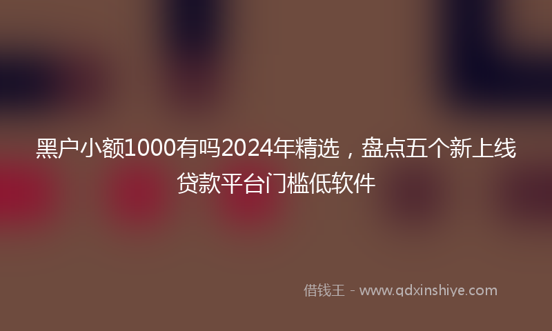 黑户小额1000有吗2024年精选，盘点五个新上线贷款平台门槛低软件