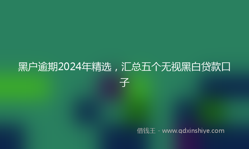 黑户逾期2024年精选，汇总五个无视黑白贷款口子