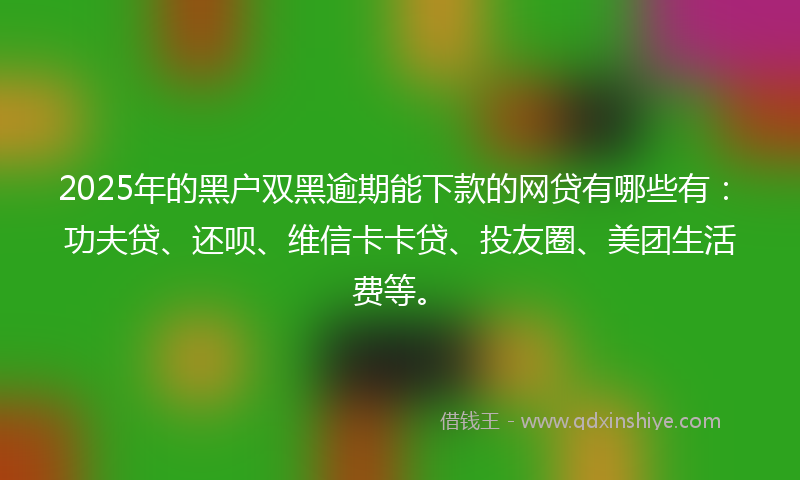 2025年的黑户双黑逾期能下款的网贷有哪些有：功夫贷、还呗、维信卡卡贷、投友圈、美团生活费等。
