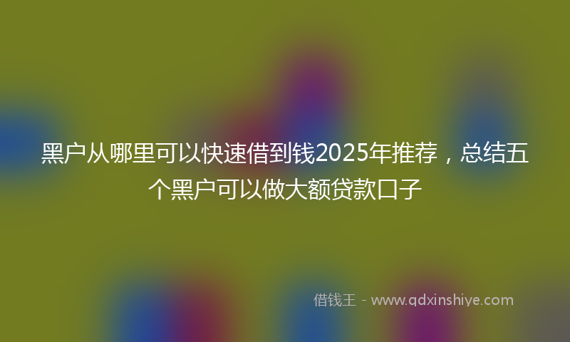 黑户从哪里可以快速借到钱2025年推荐，总结五个黑户可以做大额贷款口子