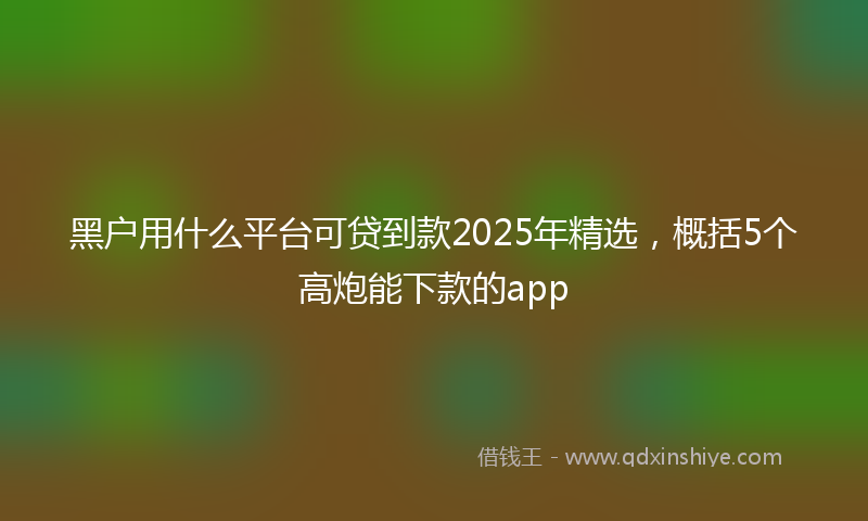 黑户用什么平台可贷到款2025年精选，概括5个高炮能下款的app