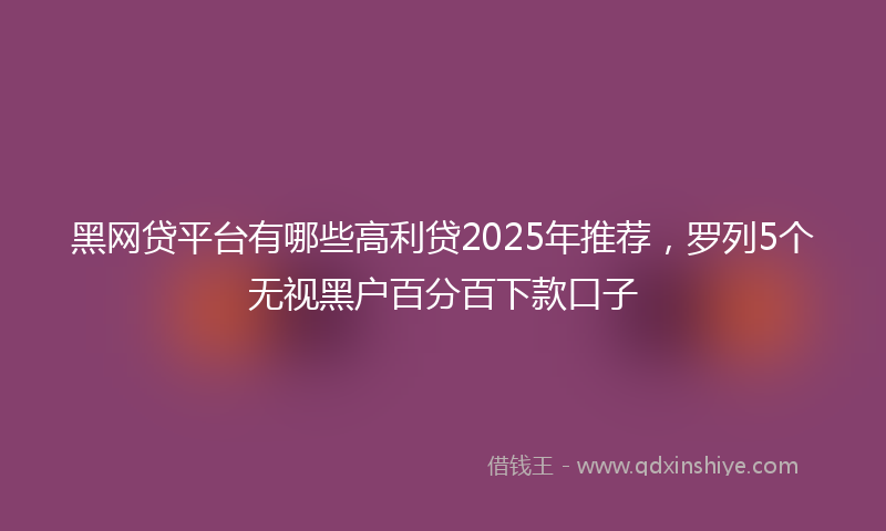 黑网贷平台有哪些高利贷2025年推荐，罗列5个无视黑户百分百下款口子