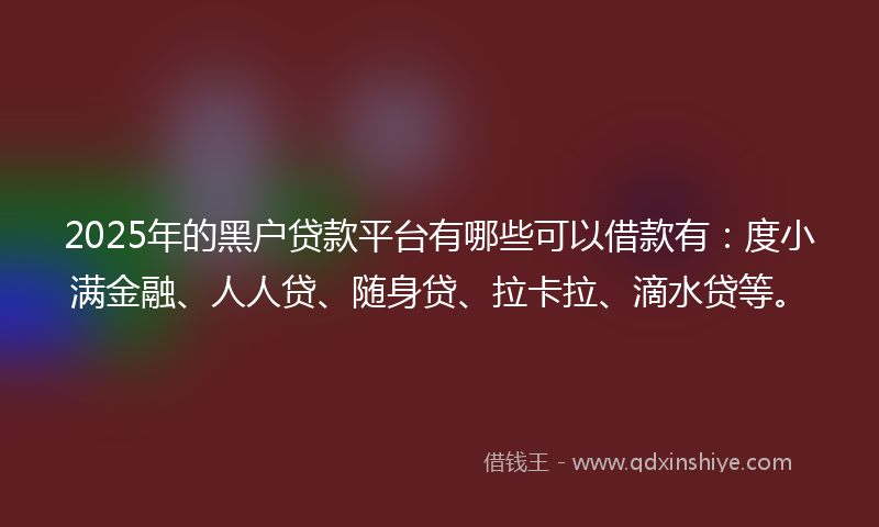 2025年的黑户贷款平台有哪些可以借款有：度小满金融、人人贷、随身贷、拉卡拉、滴水贷等。