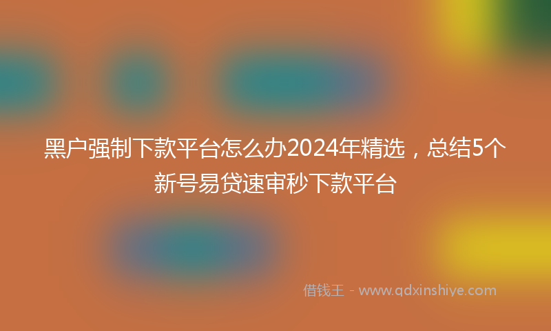 黑户强制下款平台怎么办2024年精选，总结5个新号易贷速审秒下款平台