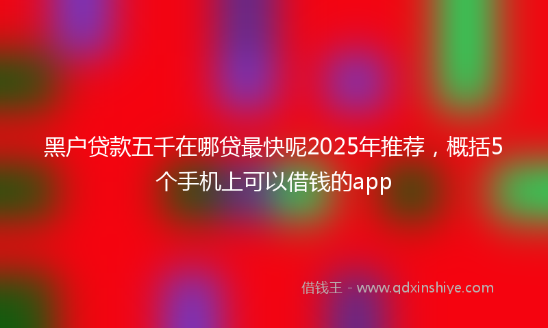 黑户贷款五千在哪贷最快呢2025年推荐，概括5个手机上可以借钱的app