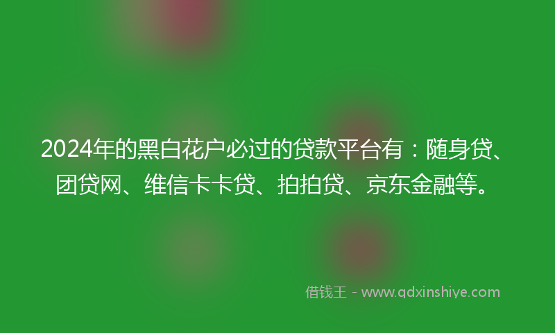 2024年的黑白花户必过的贷款平台有：随身贷、团贷网、维信卡卡贷、拍拍贷、京东金融等。