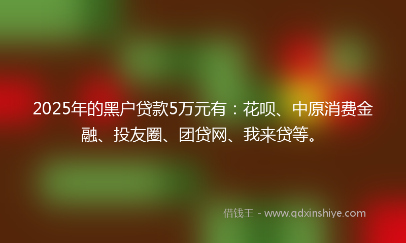 2025年的黑户贷款5万元有：花呗、中原消费金融、投友圈、团贷网、我来贷等。