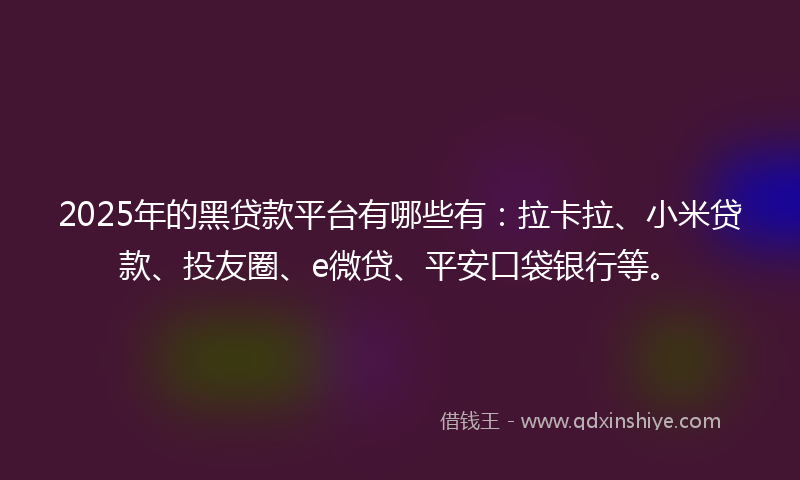 2025年的黑贷款平台有哪些有：拉卡拉、小米贷款、投友圈、e微贷、平安口袋银行等。