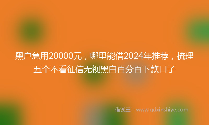 黑户急用20000元，哪里能借2024年推荐，梳理五个不看征信无视黑白百分百下款口子