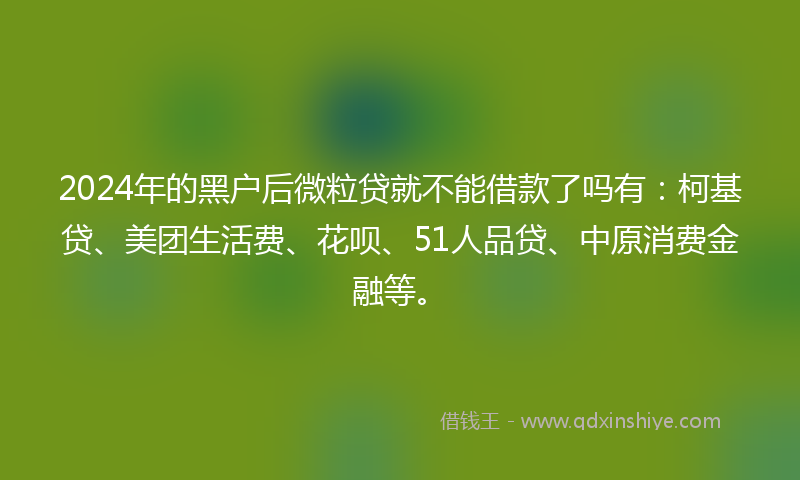 2024年的黑户后微粒贷就不能借款了吗有：柯基贷、美团生活费、花呗、51人品贷、中原消费金融等。