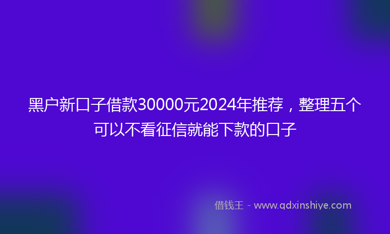 黑户新口子借款30000元2024年推荐，整理五个可以不看征信就能下款的口子