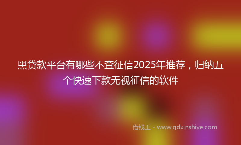 黑贷款平台有哪些不查征信2025年推荐，归纳五个快速下款无视征信的软件