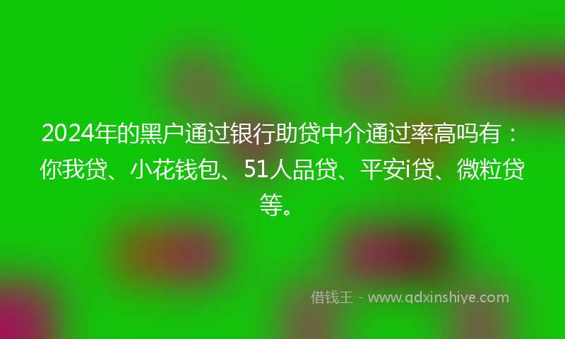 2024年的黑户通过银行助贷中介通过率高吗有：你我贷、小花钱包、51人品贷、平安i贷、微粒贷等。