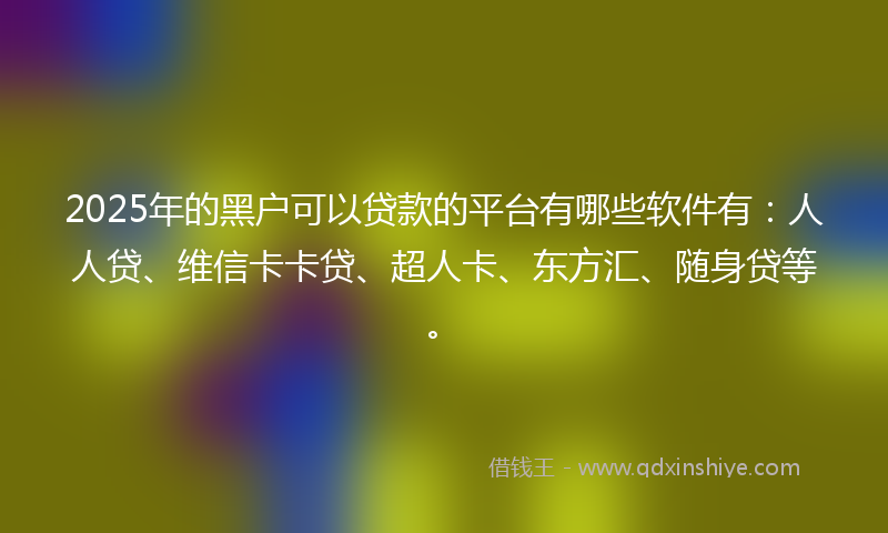 2025年的黑户可以贷款的平台有哪些软件有：人人贷、维信卡卡贷、超人卡、东方汇、随身贷等。