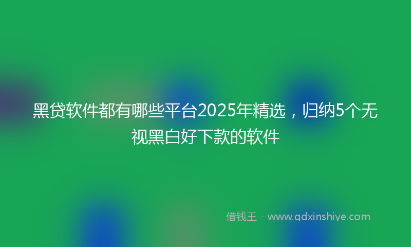 黑贷软件都有哪些平台2025年精选，归纳5个无视黑白好下款的软件