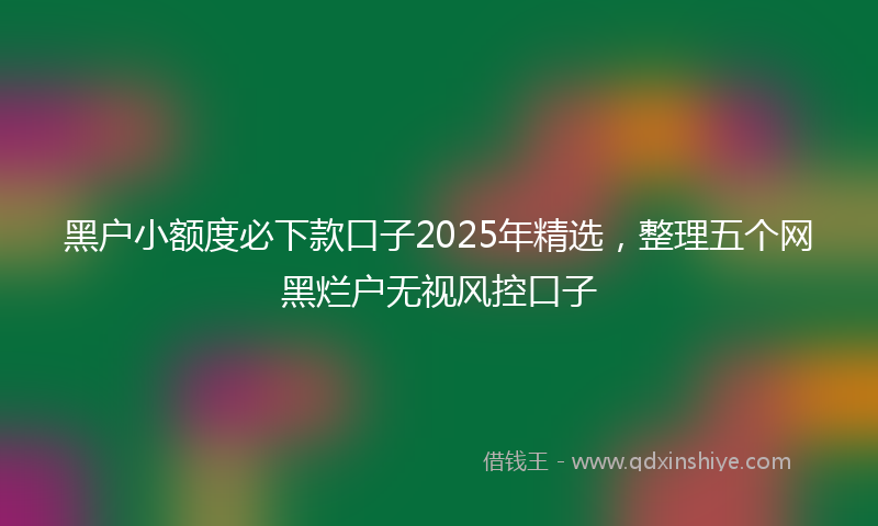 黑户小额度必下款口子2025年精选，整理五个网黑烂户无视风控口子